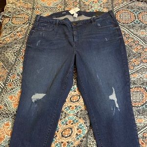 Lane Bryant Skinny Jeans size 22